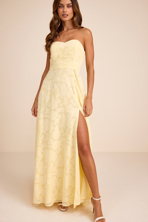 Garden of Romance Rusty Rose Burnout Maxi Dress